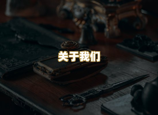 关于我们
